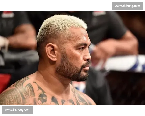 马克亨特大战布洛克莱斯纳背后的力量博弈与UFC时代争议